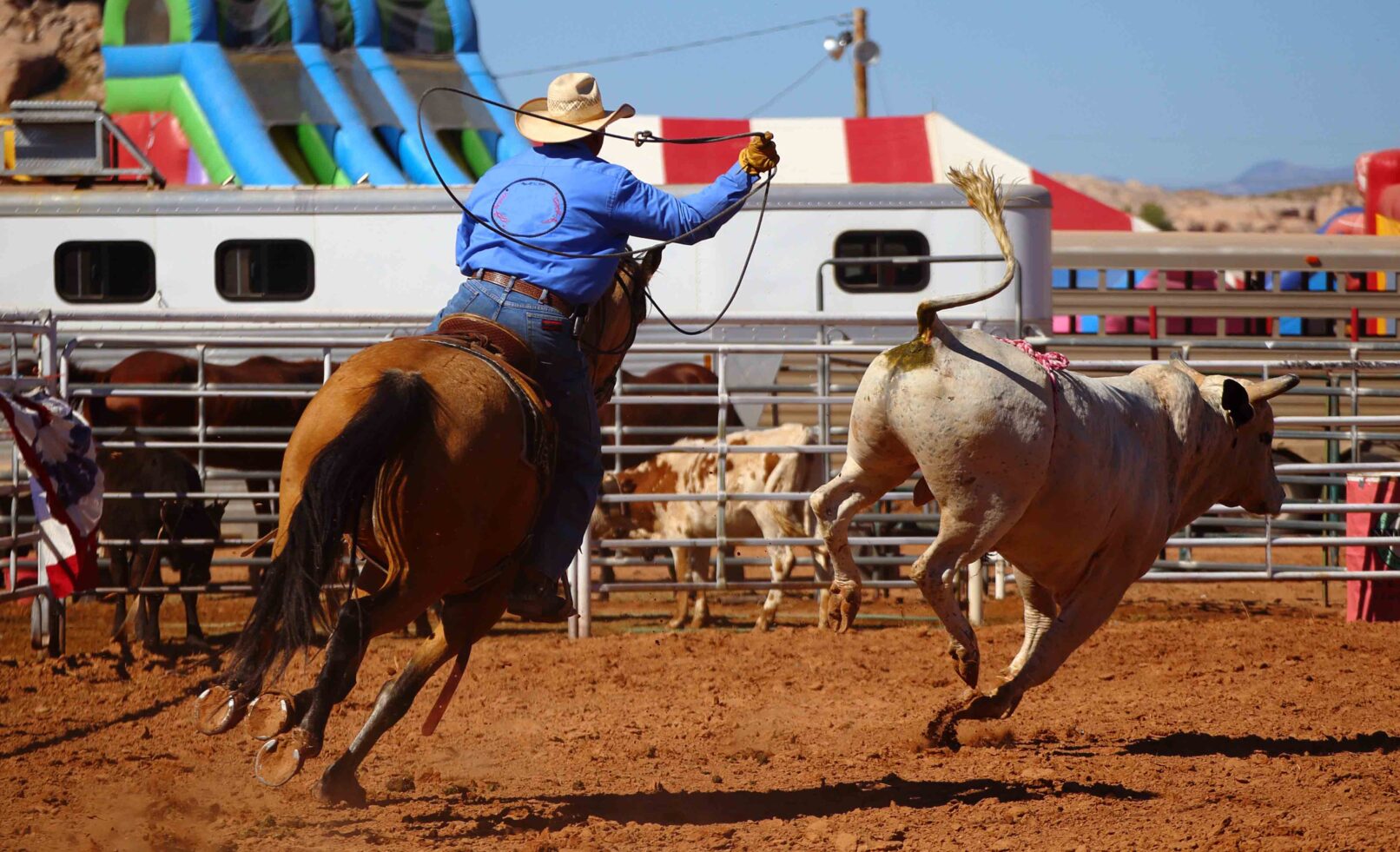 Chasing a bull at a rodeo, Utah, USA